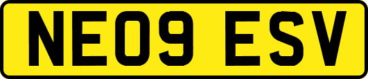 NE09ESV