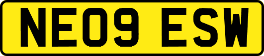 NE09ESW