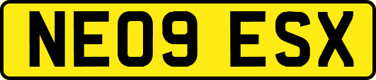 NE09ESX