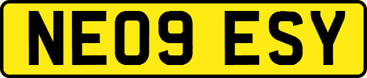 NE09ESY