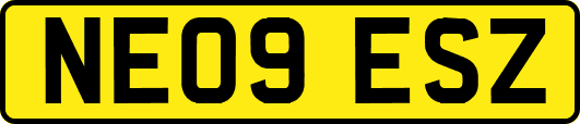 NE09ESZ
