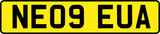 NE09EUA