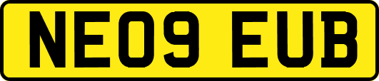 NE09EUB