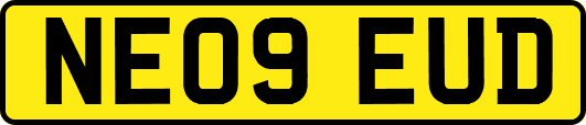 NE09EUD