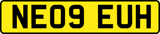 NE09EUH