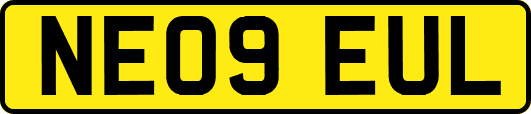 NE09EUL