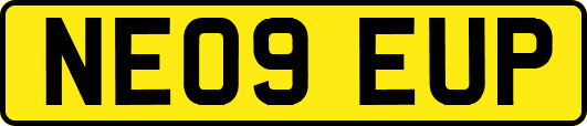 NE09EUP