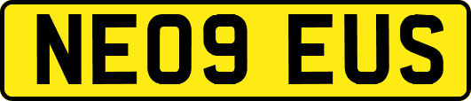NE09EUS