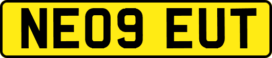 NE09EUT