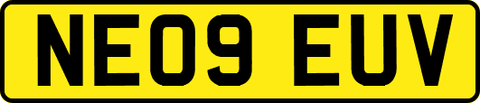 NE09EUV