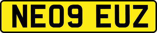 NE09EUZ
