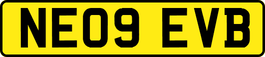 NE09EVB