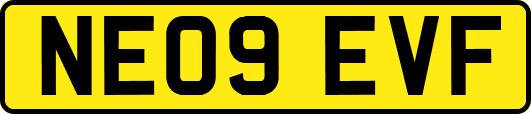 NE09EVF