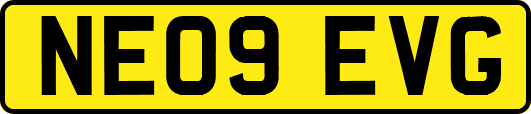 NE09EVG