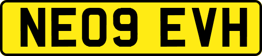 NE09EVH