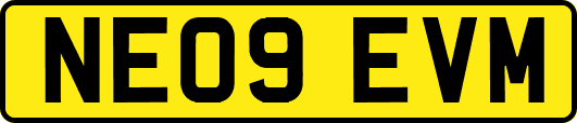 NE09EVM