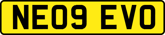 NE09EVO