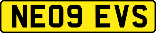 NE09EVS