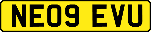 NE09EVU