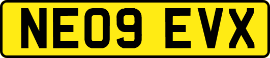 NE09EVX
