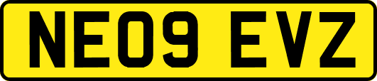 NE09EVZ