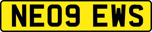 NE09EWS