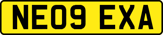 NE09EXA