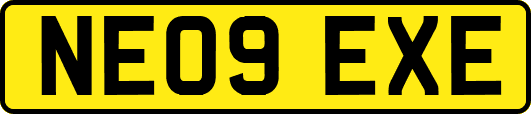NE09EXE