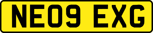 NE09EXG