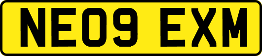 NE09EXM