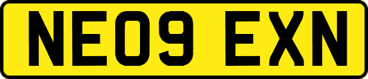 NE09EXN