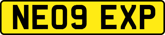 NE09EXP