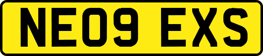 NE09EXS