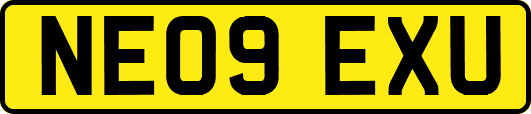 NE09EXU