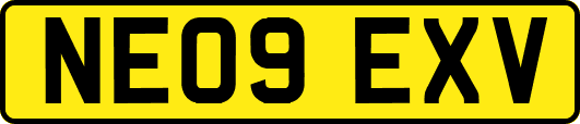 NE09EXV