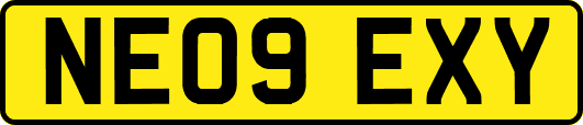NE09EXY