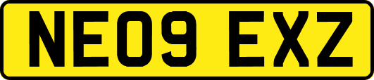 NE09EXZ