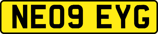 NE09EYG