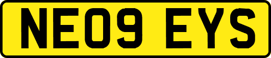 NE09EYS