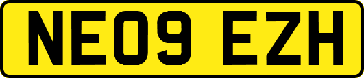 NE09EZH