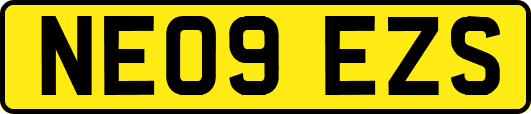 NE09EZS