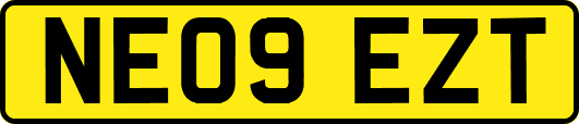 NE09EZT