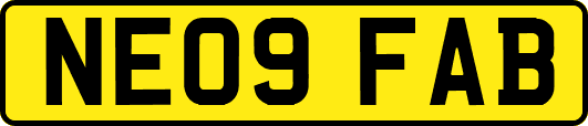 NE09FAB