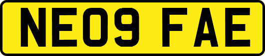 NE09FAE