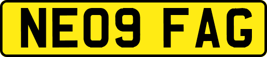 NE09FAG