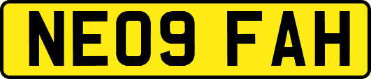 NE09FAH