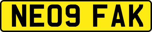 NE09FAK