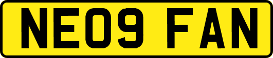 NE09FAN