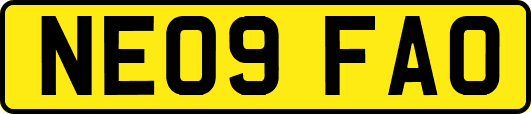 NE09FAO