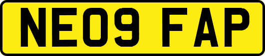 NE09FAP